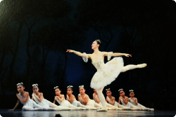 2016年ドン・キホーテより 2016年ドン・キホーテより